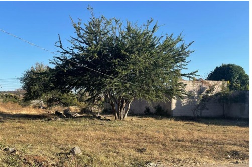 TERRENO EN LA COLONIA YECAPIXTECA, YECAPIXTLA, MOR.